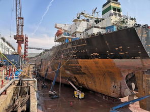 这个船厂开启修船新模式 大象 蓝鲸 来帮忙